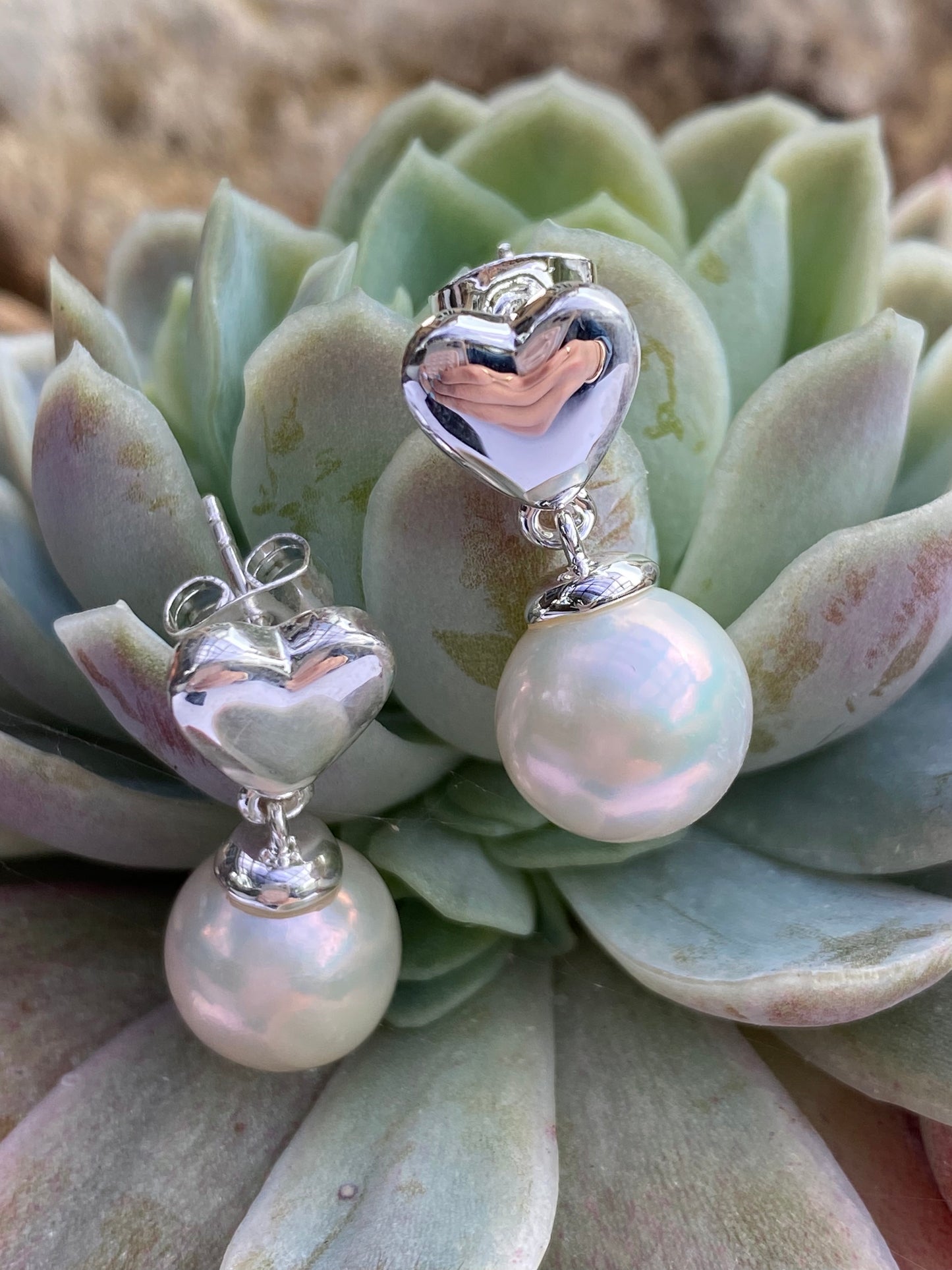 Teresa's Pearl earrings in silver plating